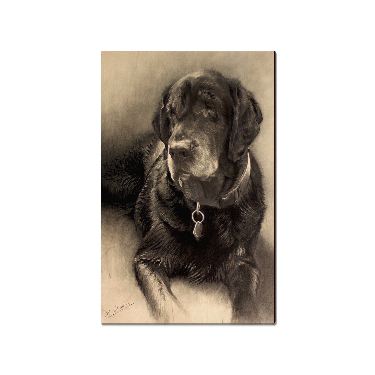 Johnson's Old Lab - Small Art & Gift Magnet (5pk // $2.40ea)