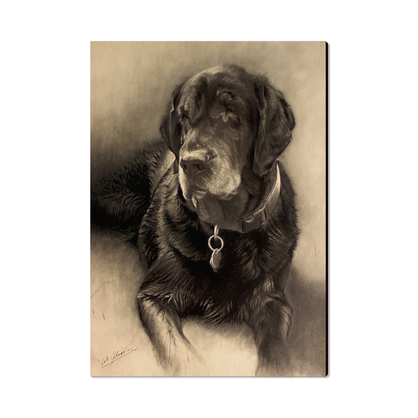 Johnson's Old Lab - Small Art & Gift Postcard (5pk // $2.40ea)