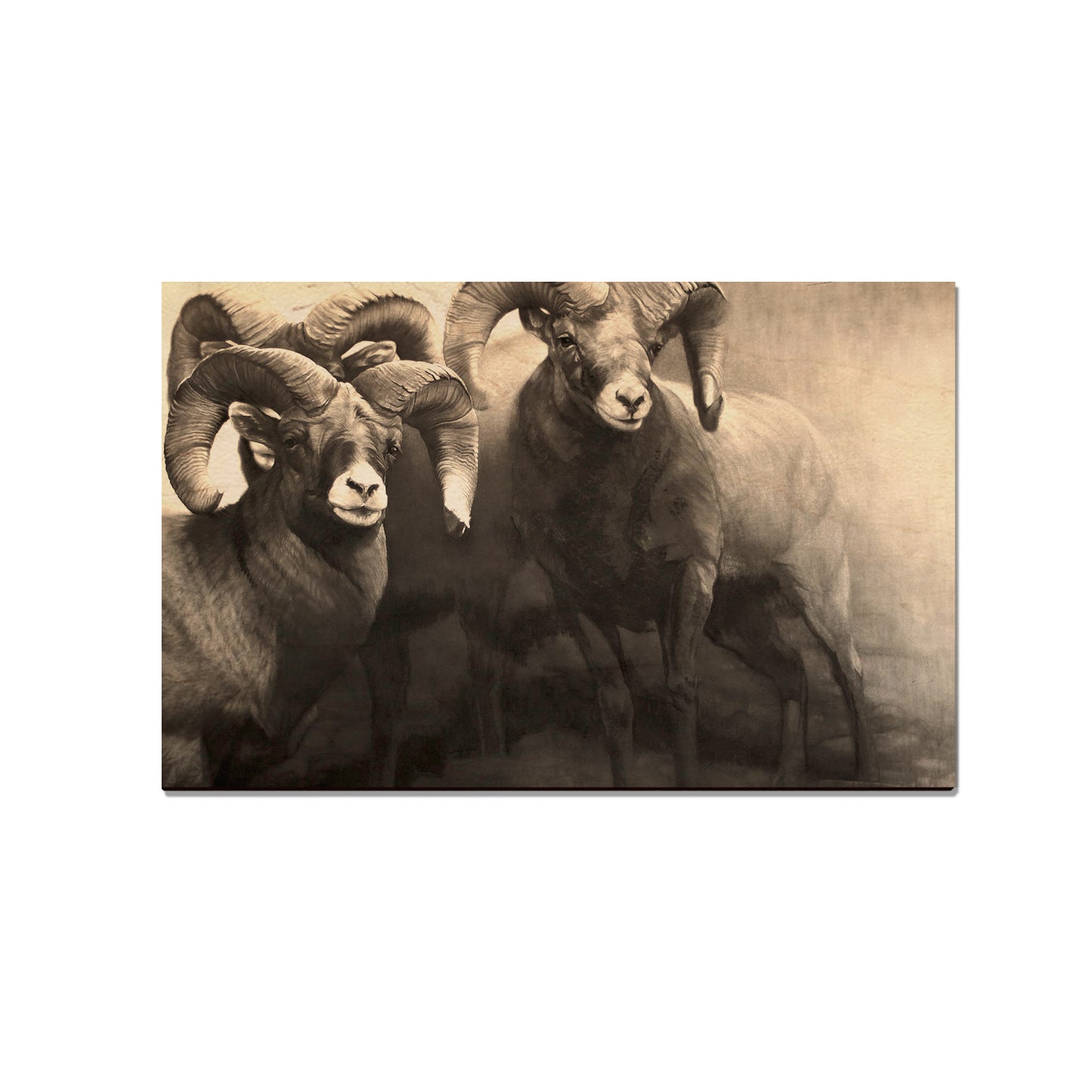 Johnson's On the Rocks - Small Art & Gift Magnet (5pk // $2.40ea)