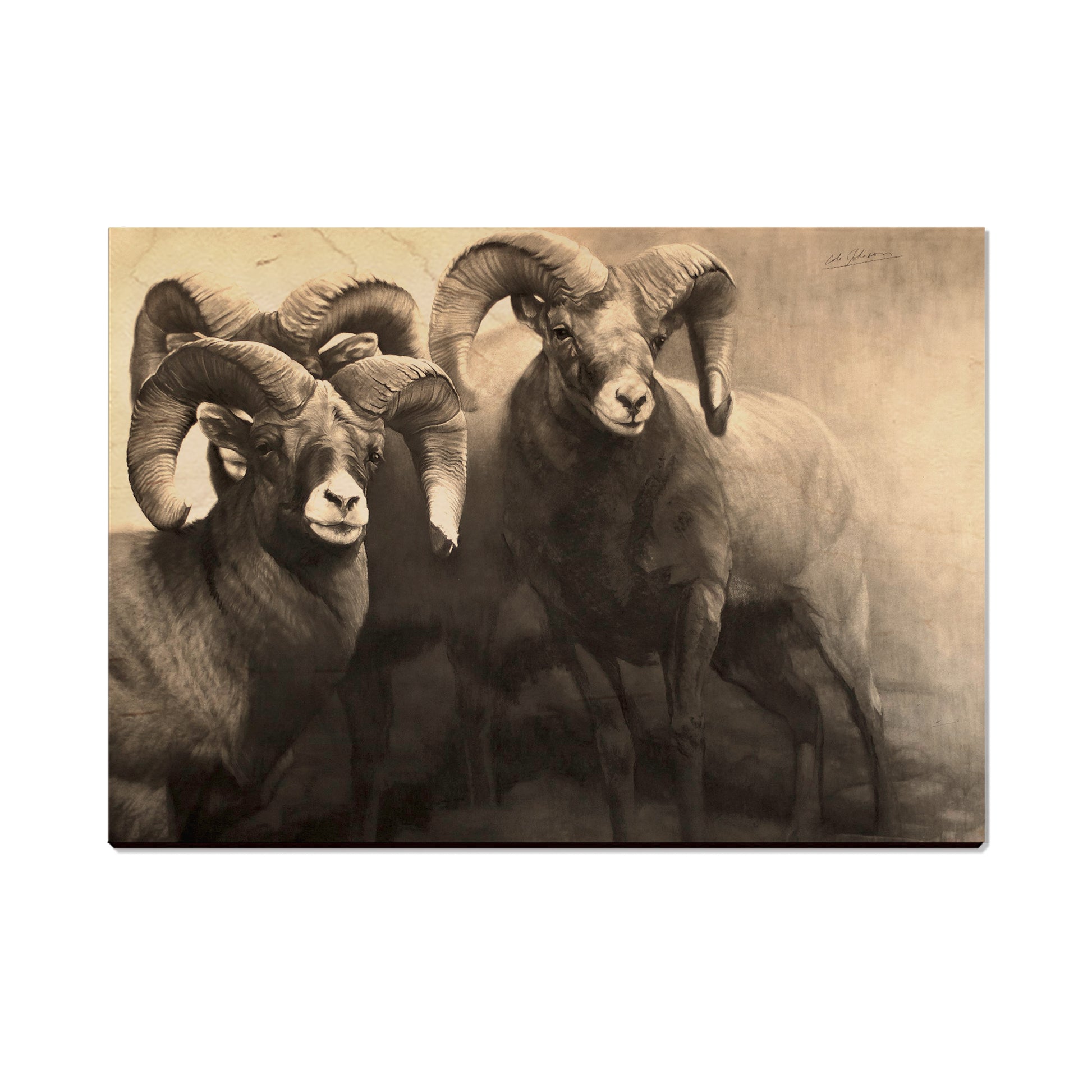 Johnson's On the Rocks - Small Art & Gift Postcard (5pk // $2.40ea)