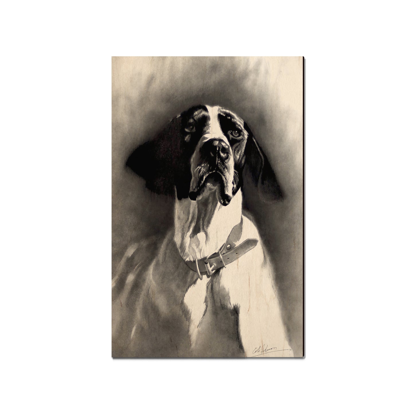 Johnson's Proud Pointer - Small Art & Gift Magnet (5pk // $2.40ea)