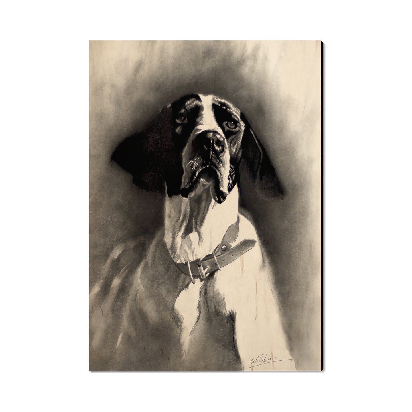 Johnson's Proud Pointer - Small Art & Gift Postcard (5pk // $2.40ea)
