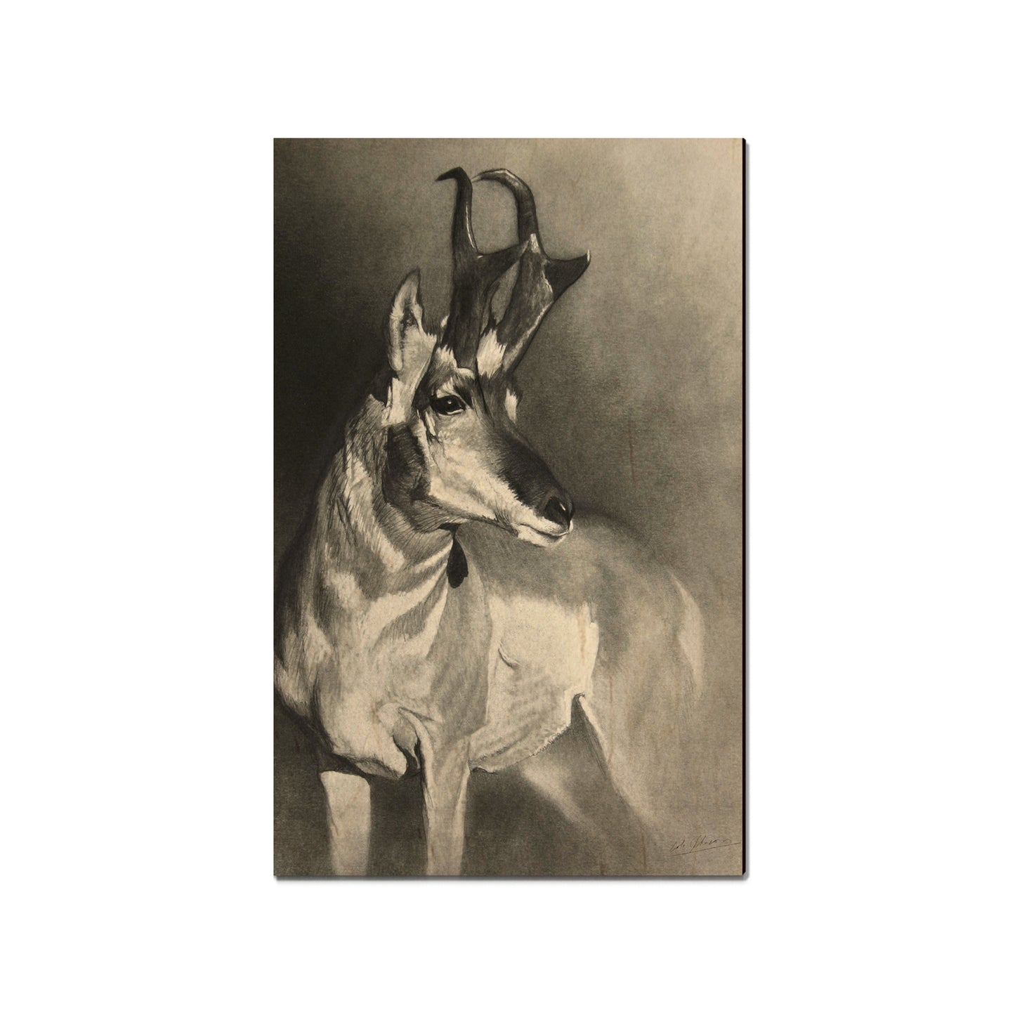 Johnson's Perfect Pronghorn - Small Art & Gift Magnet (5pk // $2.40ea)