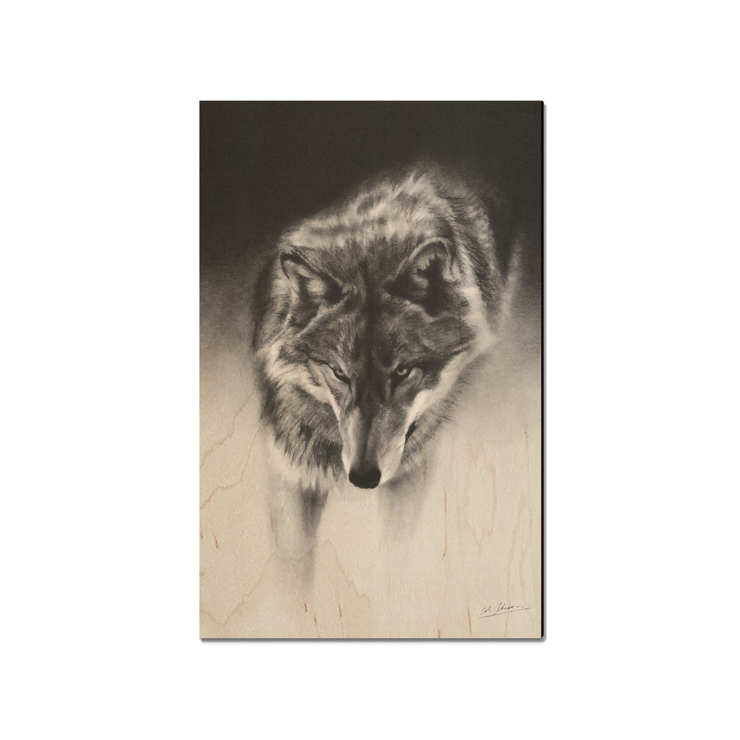Johnson's Prowling Wolf - Small Art & Gift Magnet (5pk // $2.40ea)