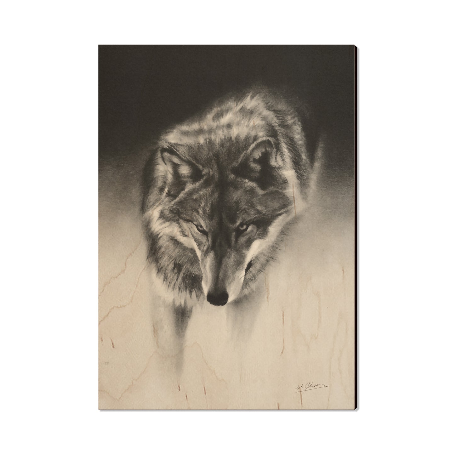 Johnson's Prowling Wolf - Small Art & Gift Postcard (5pk // $2.40ea)