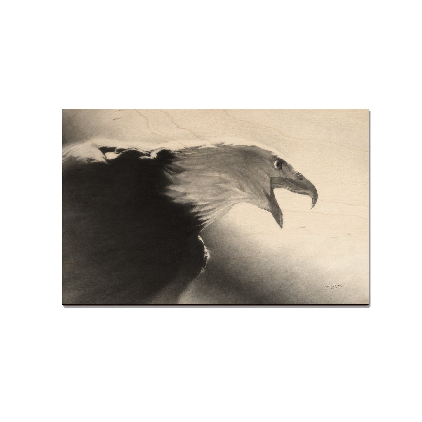 Johnson's Screaming Eagle - Small Art & Gift Magnet (5pk // $2.40ea)