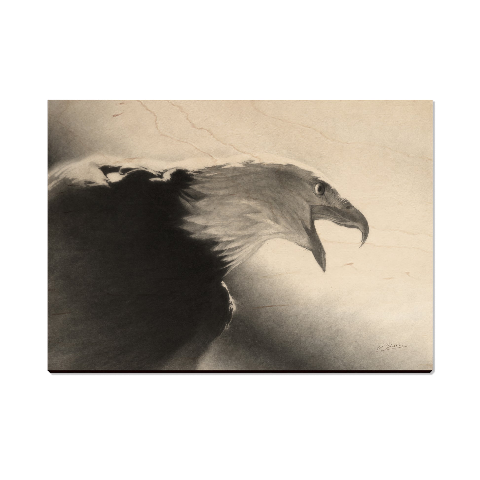 Johnson's Screaming Eagle - Small Art & Gift Postcard (5pk // $2.40ea)