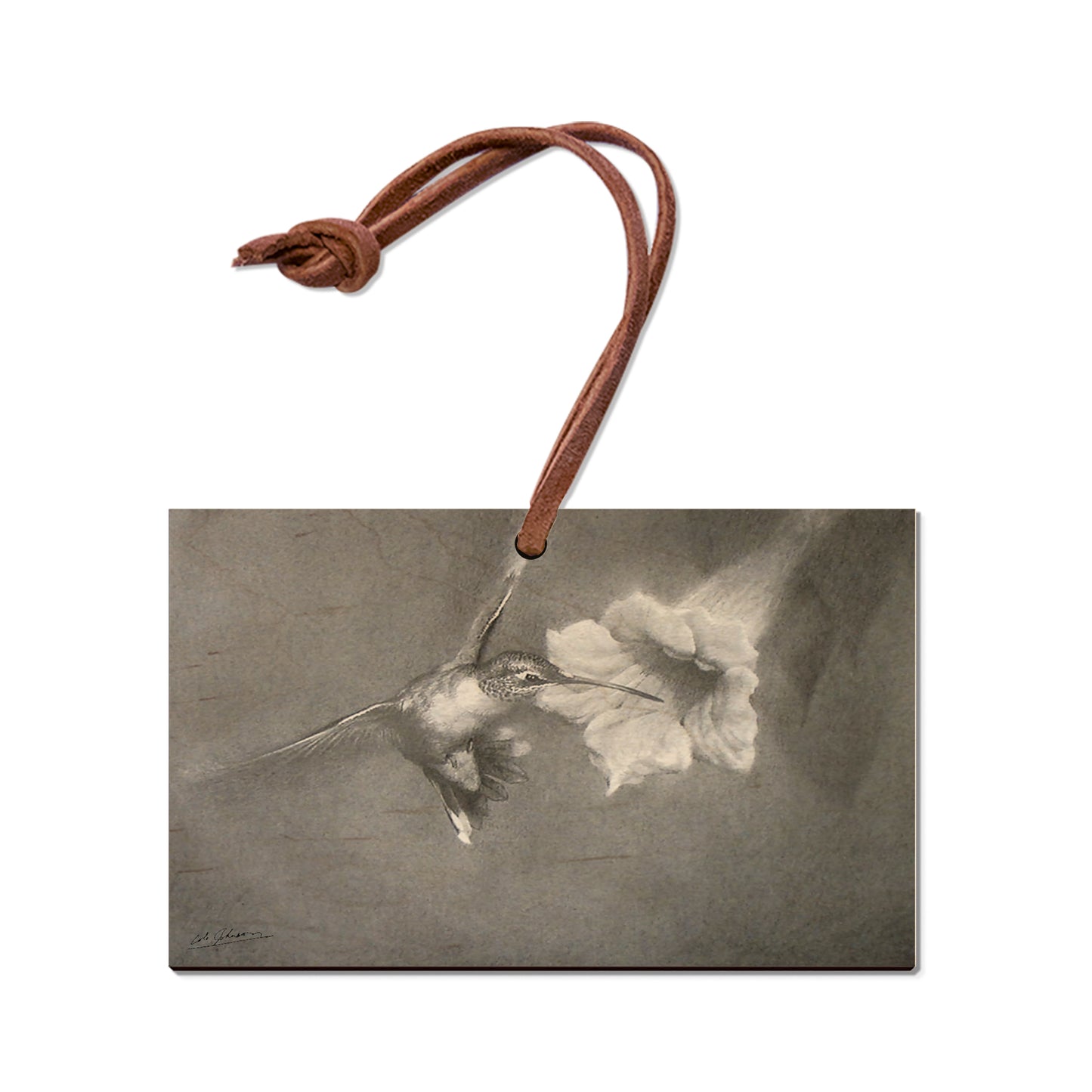 Johnson's Vintage Hummingbird - Small Art & Gift Ornament (5pk // $2.40ea)