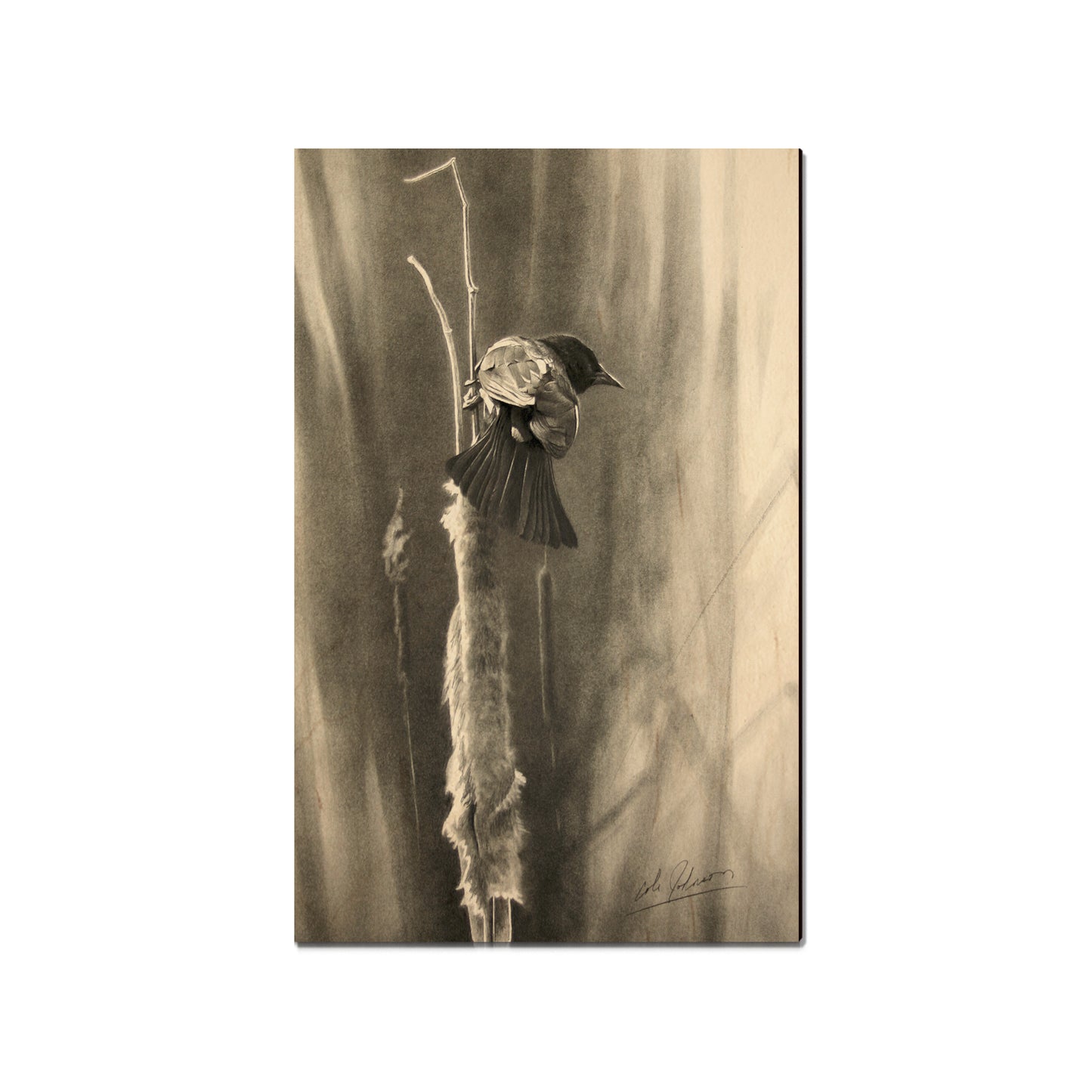 Johnson's Vintage Redwing - Small Art & Gift Magnet (5pk // $2.40ea)