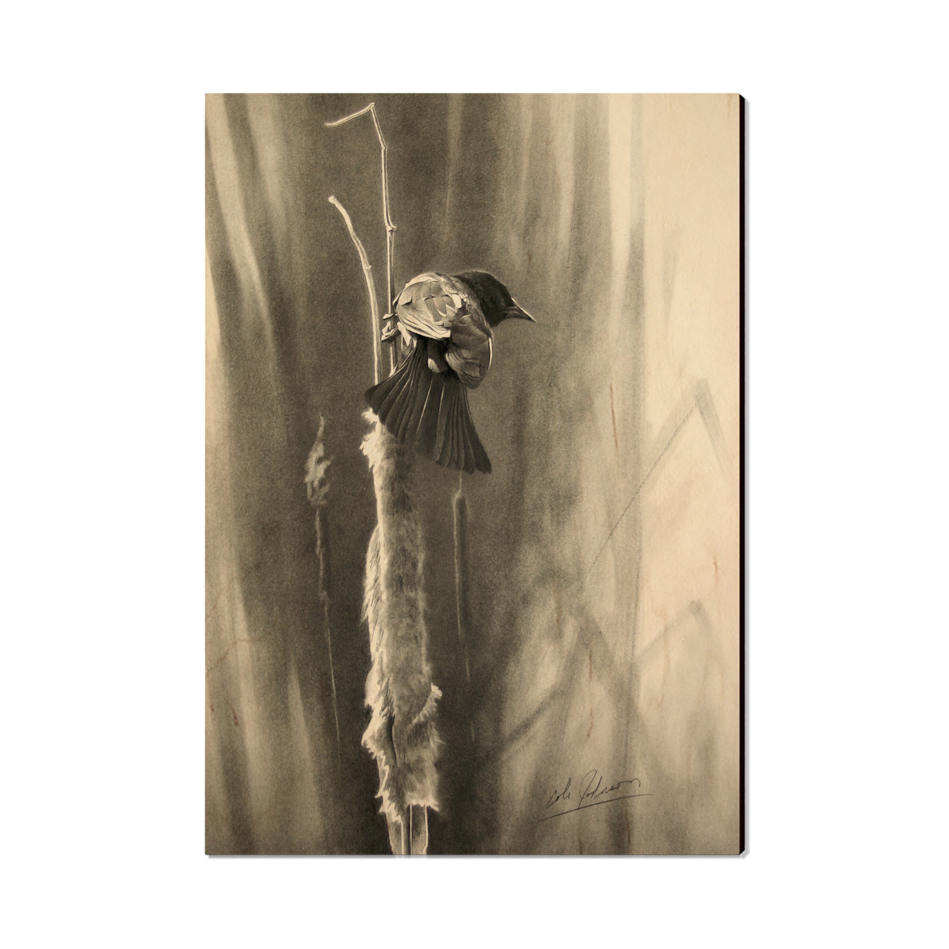 Johnson's Vintage Redwing - Small Art & Gift Postcard (5pk // $2.40ea)