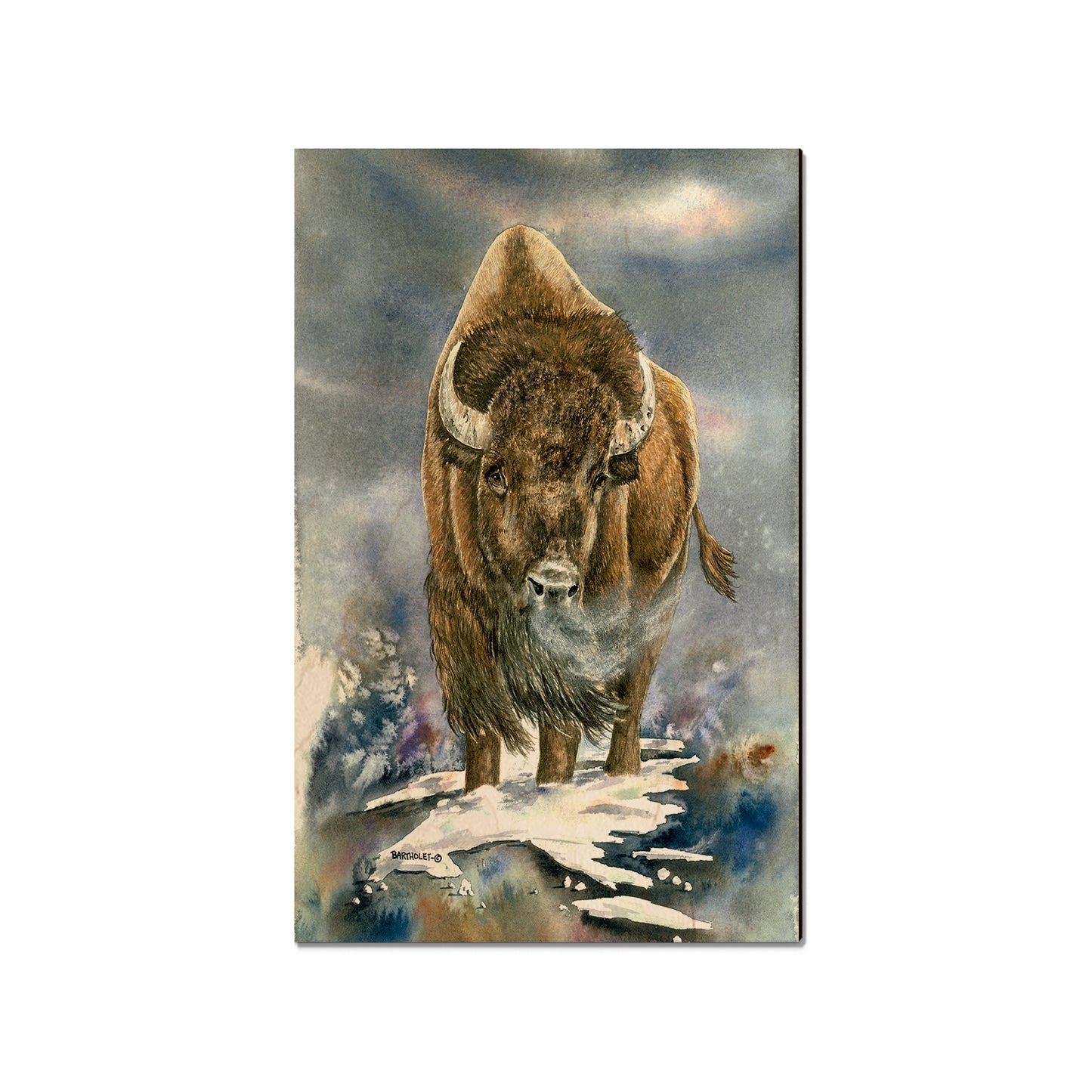 Bartholet's American Buffalo  - Classic Edge