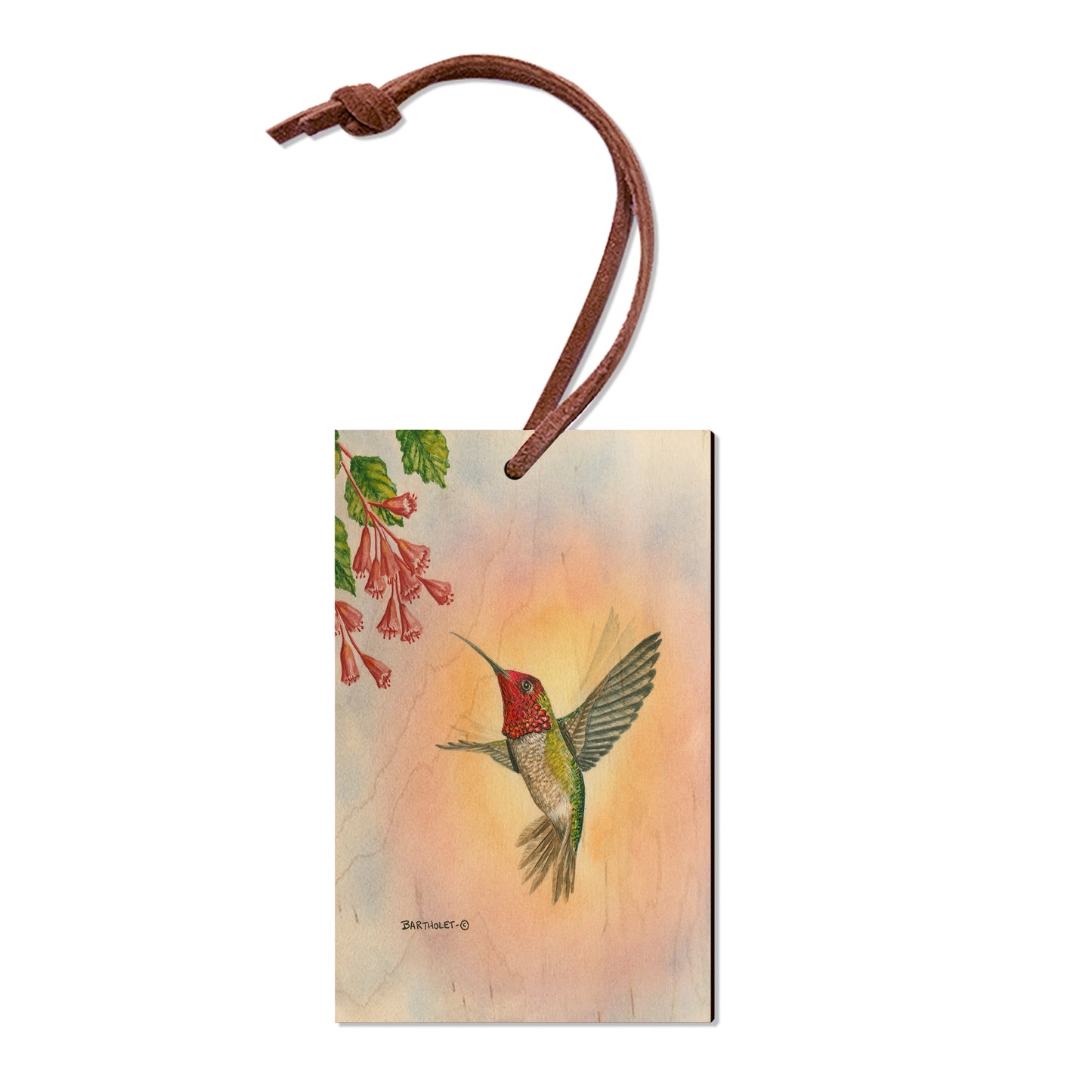 Bartholet's Anna Hummingbird  - Classic Edge