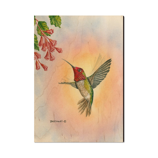 Bartholet's Anna Hummingbird  - Classic Edge