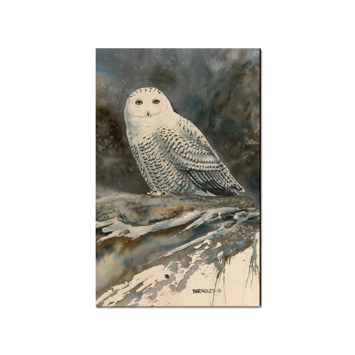 Bartholet's Arctic Ghost - Small Art & Gift Magnet (5pk // $2.40ea)