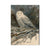 Bartholet's Arctic Ghost - Small Art & Gift Postcard (5pk // $2.40ea)