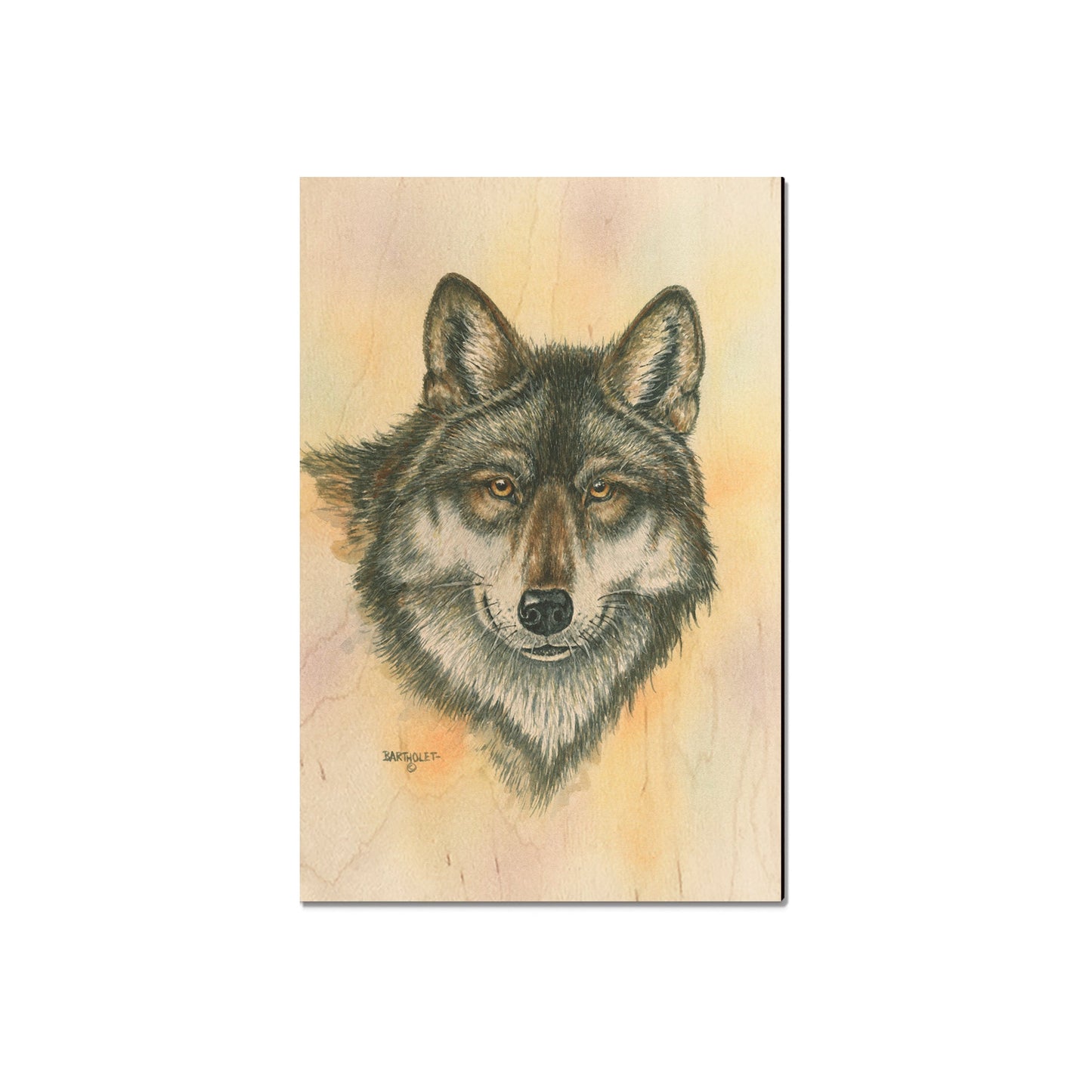 Bartholet's Alpha Wolf  - Classic Edge