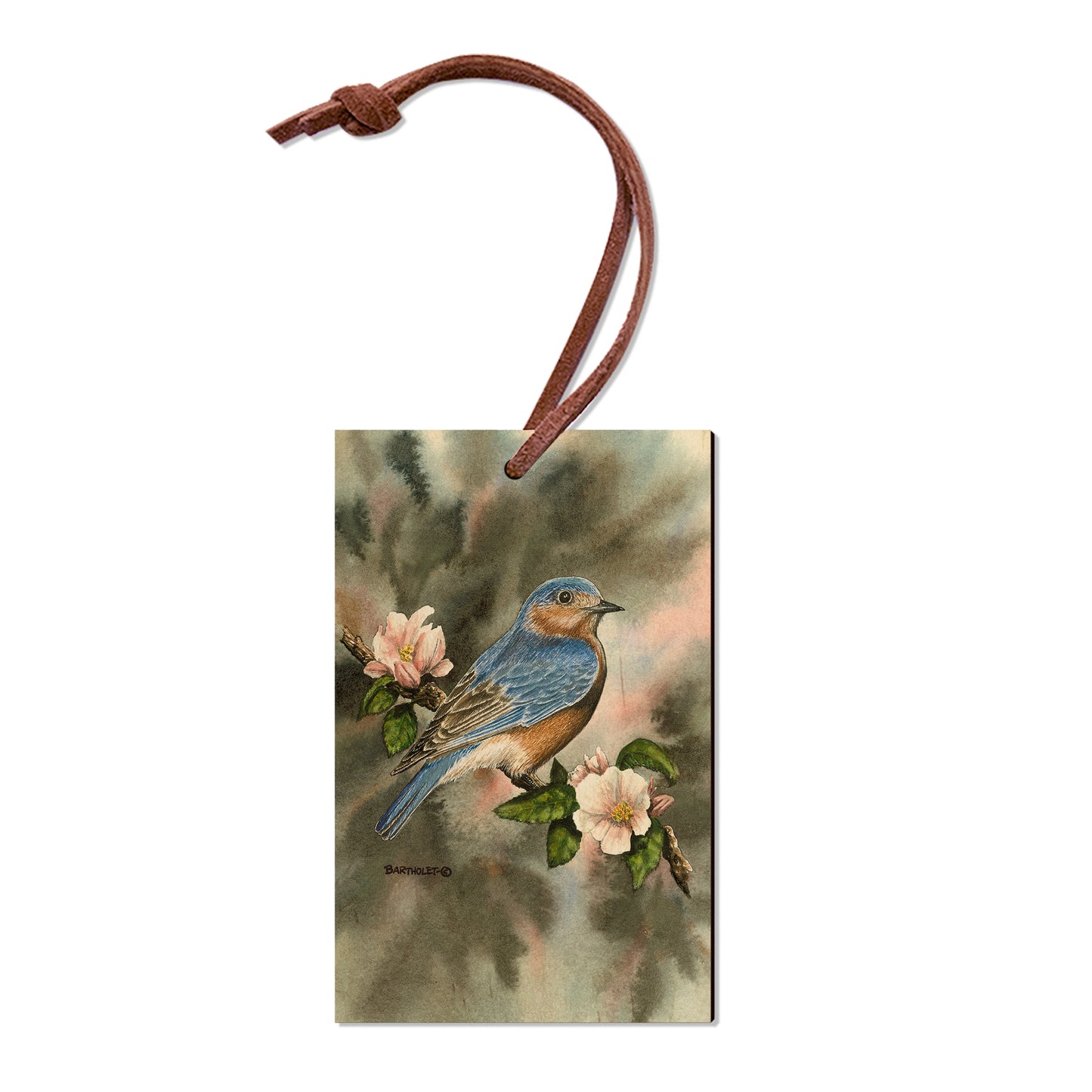Bartholet's Bluebird  - Classic Edge