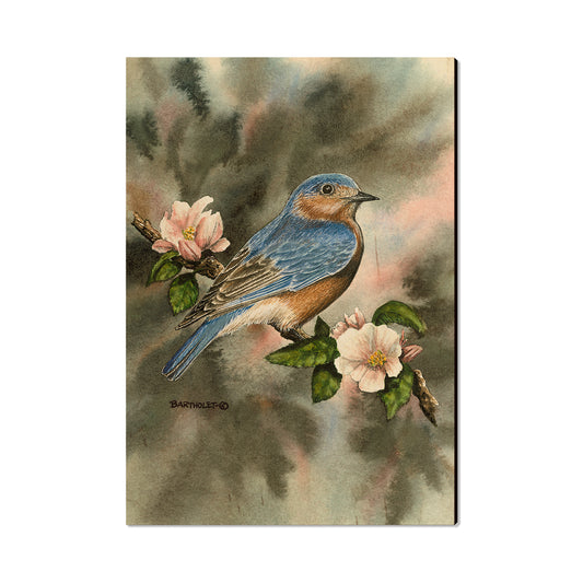 Bartholet's Bluebird  - Classic Edge