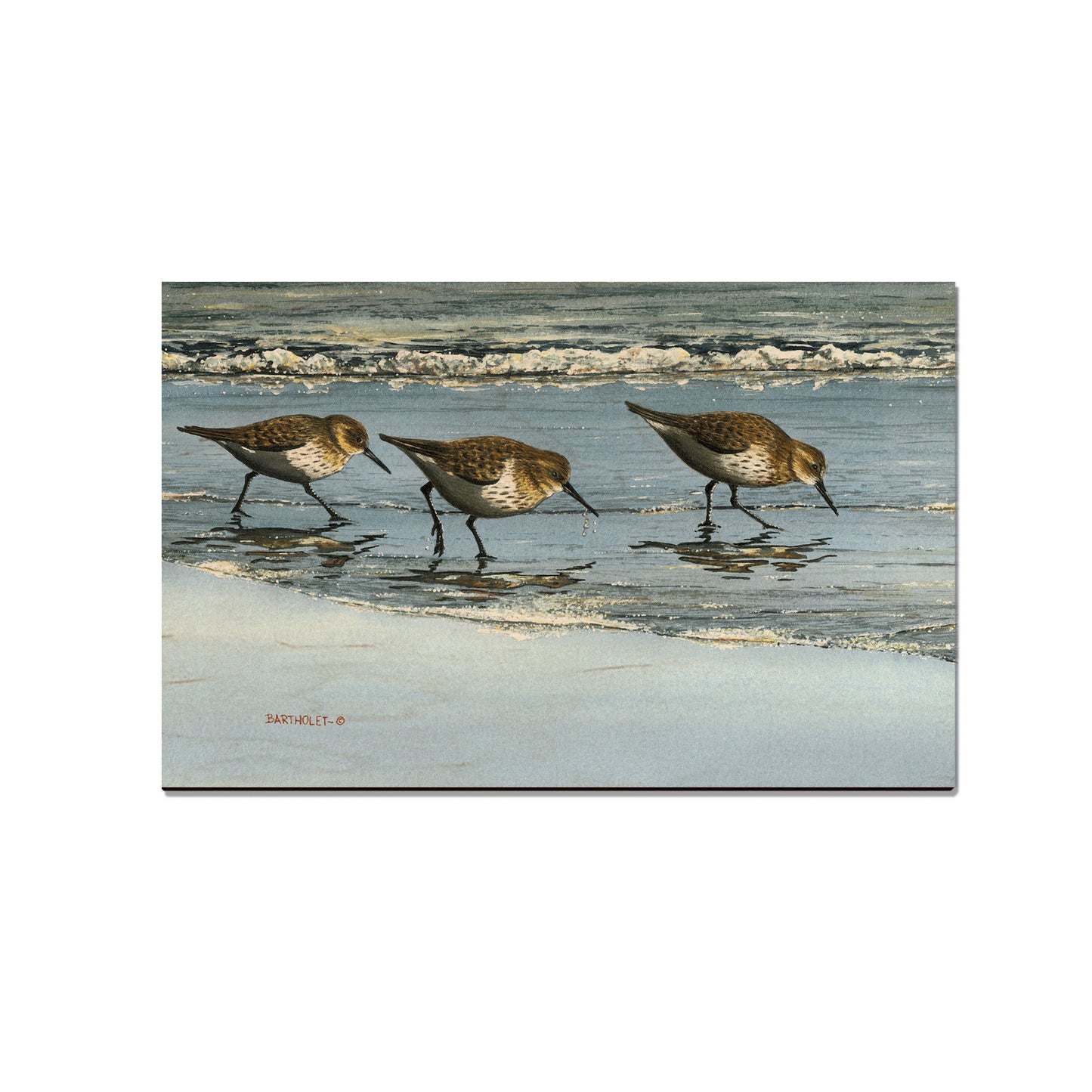 Bartholet's Beach Breakfast - Small Art & Gift Magnet (5pk // $2.40ea)