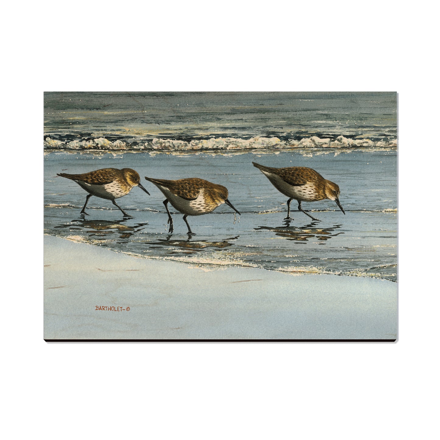 Bartholet's Beach Breakfast - Small Art & Gift Postcard (5pk // $2.40ea)