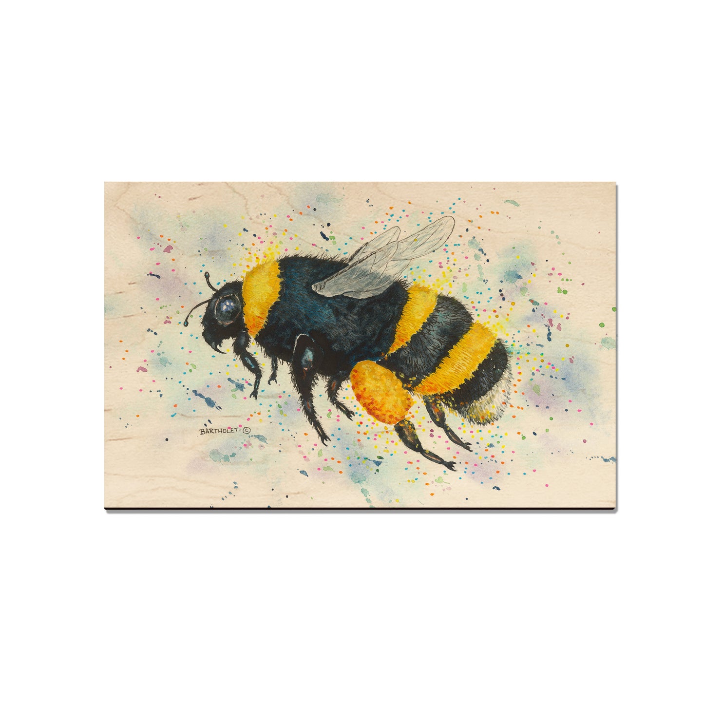 Bartholet's Bumble Bee - Small Art & Gift Magnet (5pk // $2.40ea)