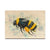 Bartholet's Bumble Bee - Small Art & Gift Postcard (5pk // $2.40ea)
