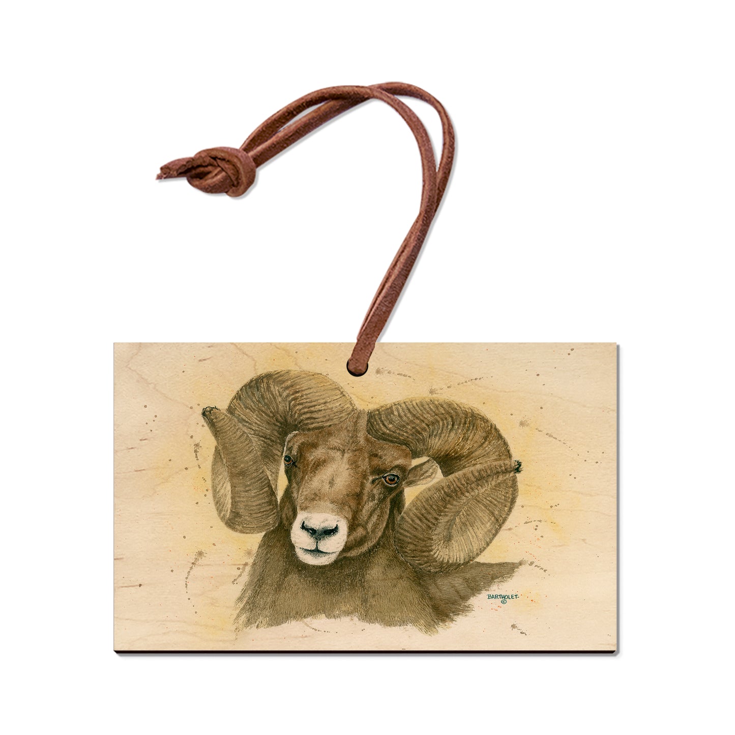 Bartholet's Big Horn  - Classic Edge