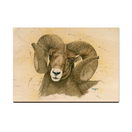 Bartholet's Big Horn  - Classic Edge