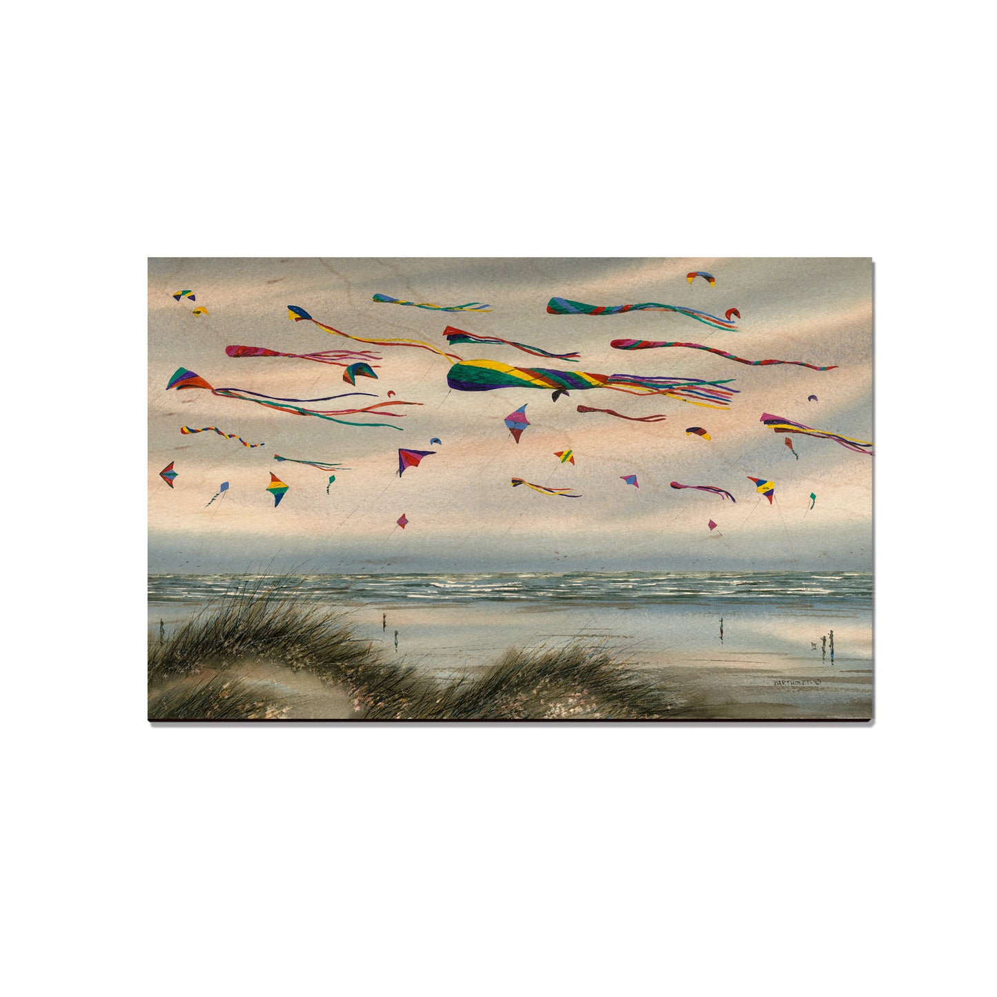 Bartholet's Beach Kites - Small Art & Gift Magnet (5pk // $2.40ea)