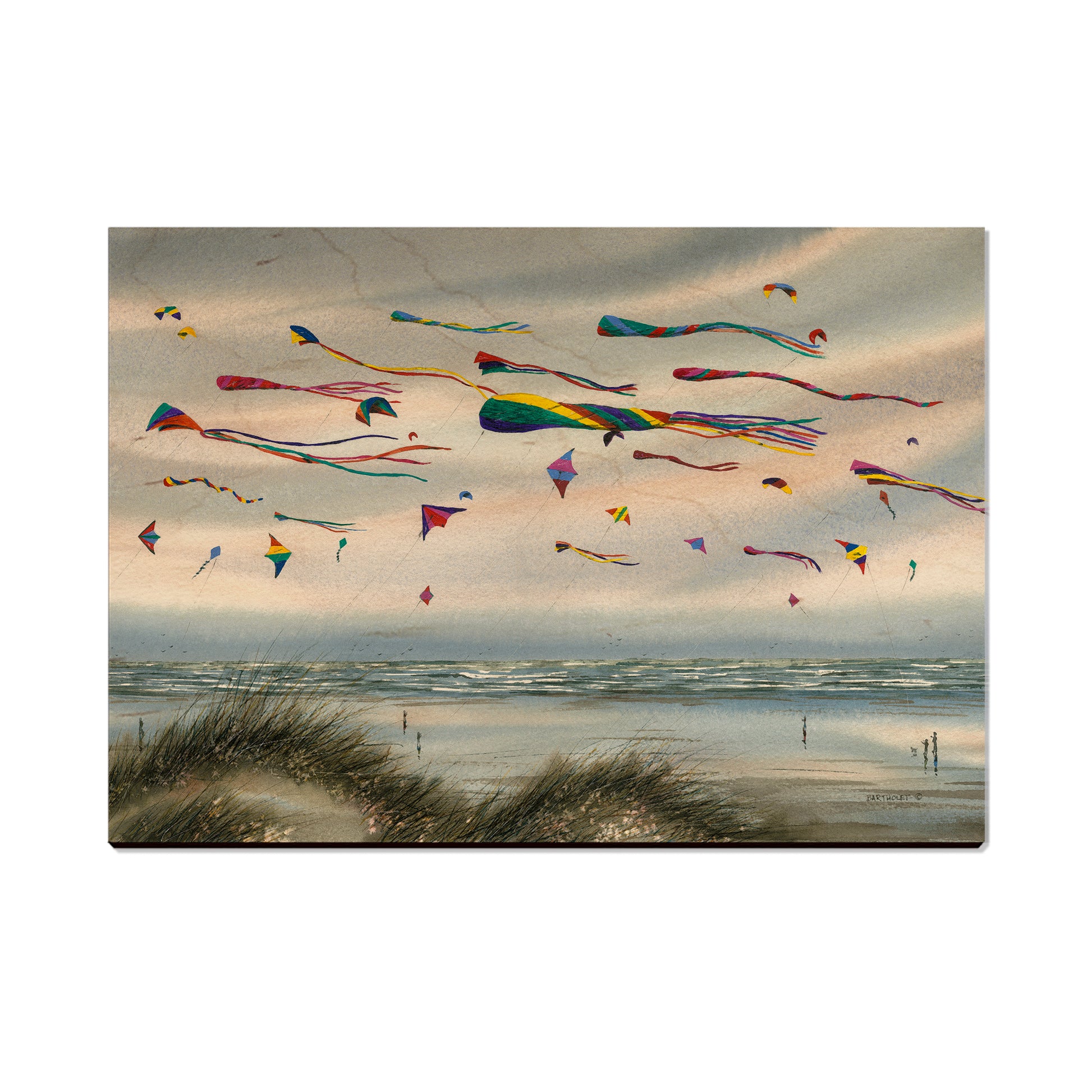 Bartholet's Beach Kites - Small Art & Gift Postcard (5pk // $2.40ea)