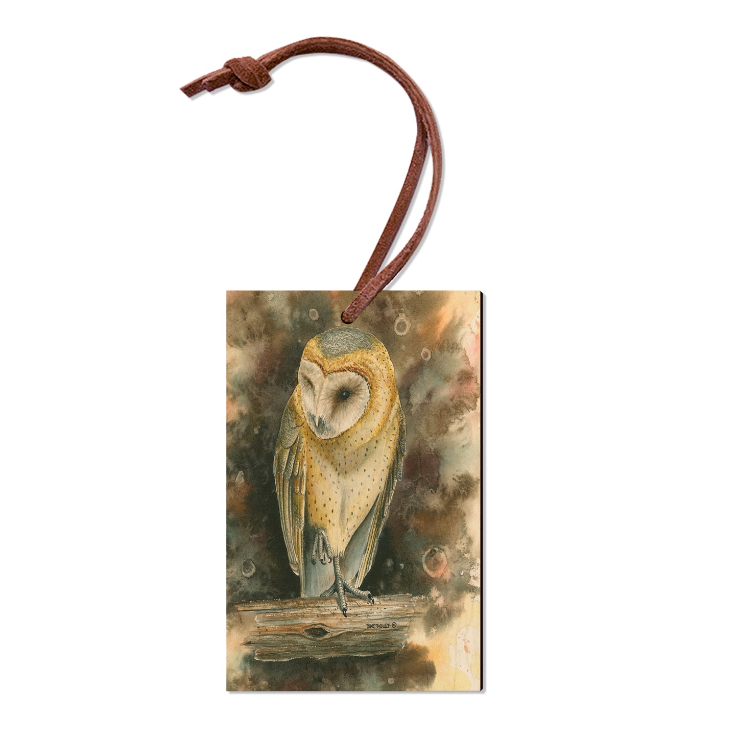 Bartholet's Barn Owl  - Classic Edge