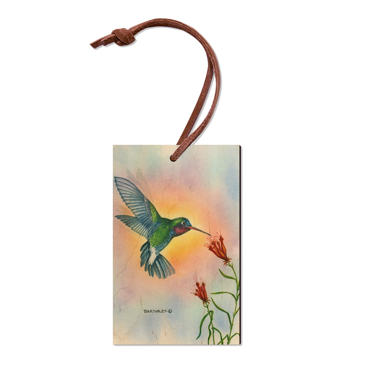 Bartholet's Broad Bill  - Classic Edge