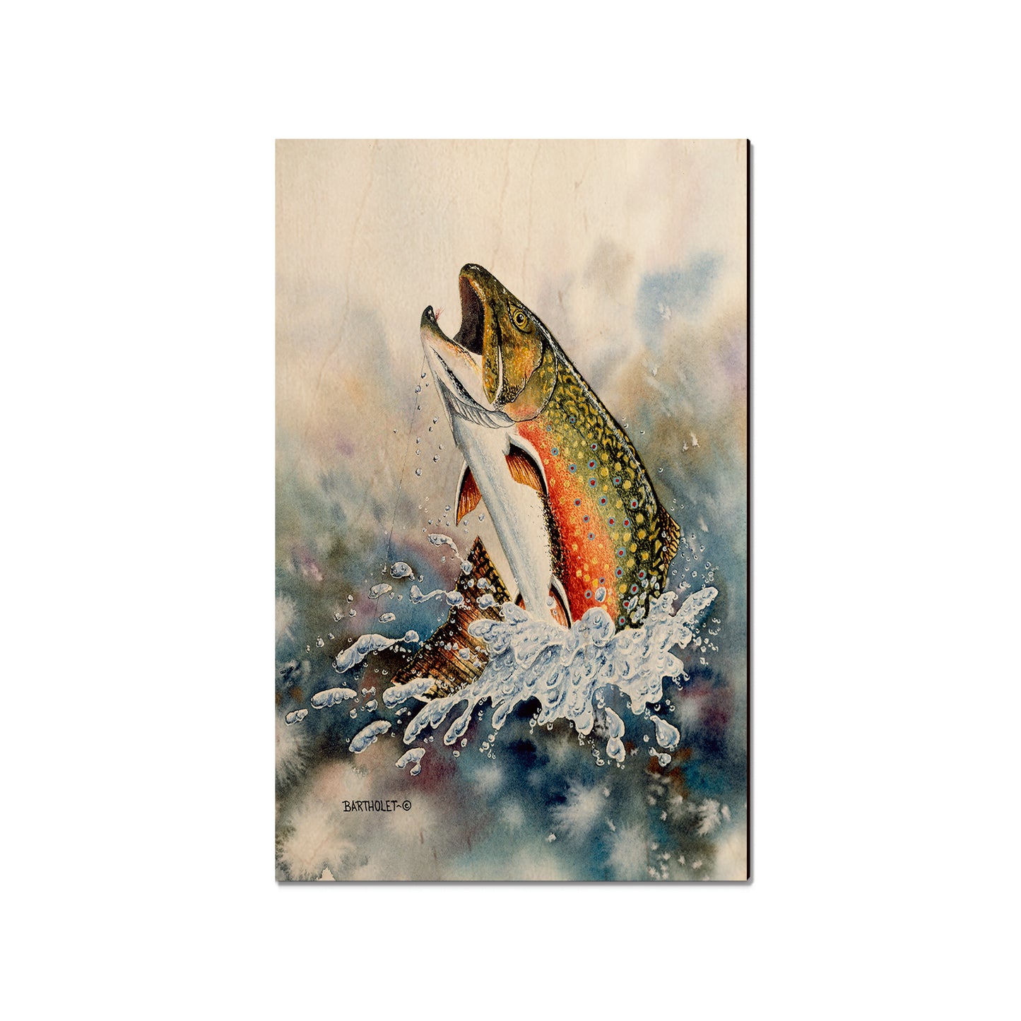 Bartholet's Brook Trout  - Classic Edge