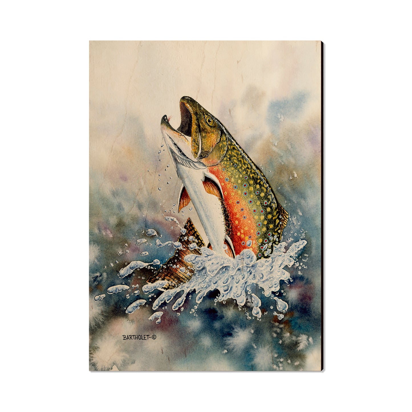 Bartholet's Brook Trout  - Classic Edge
