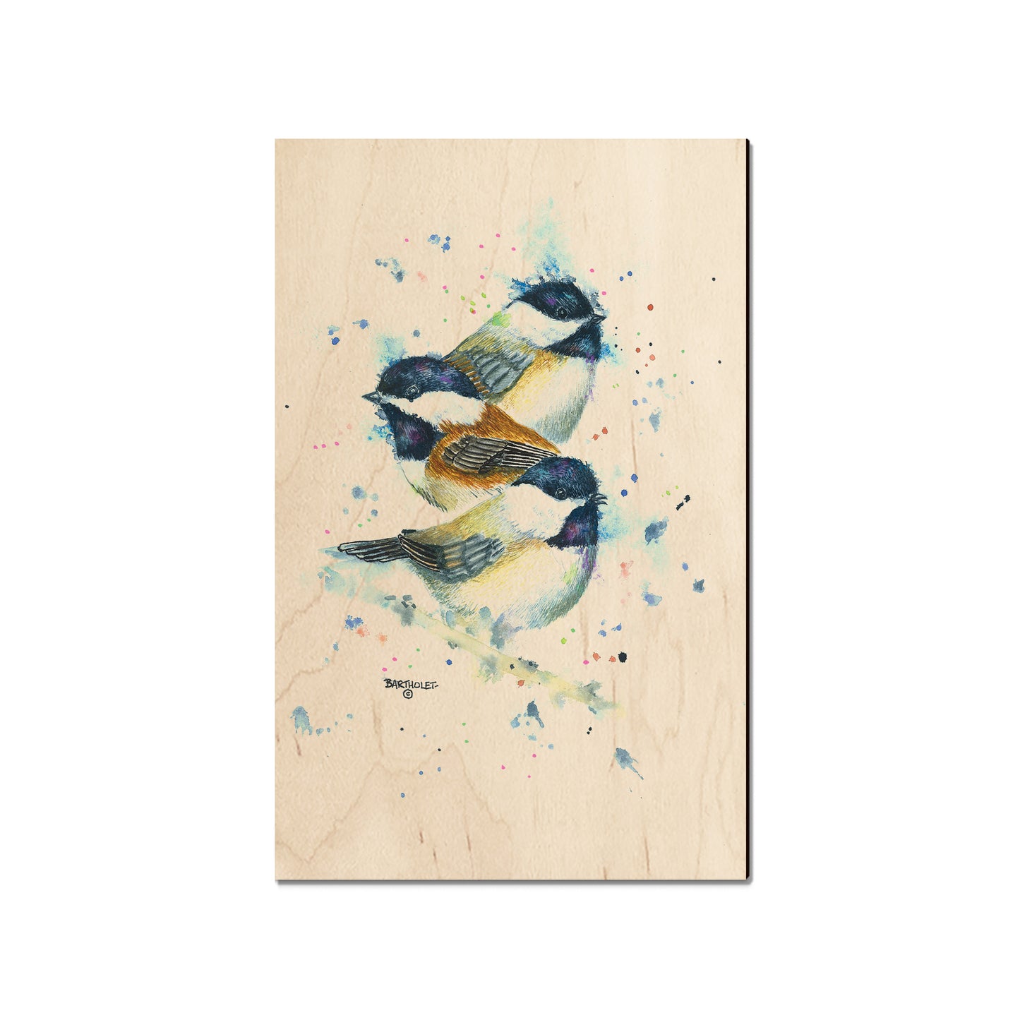Bartholet's Chickadee Trio  - Classic Edge