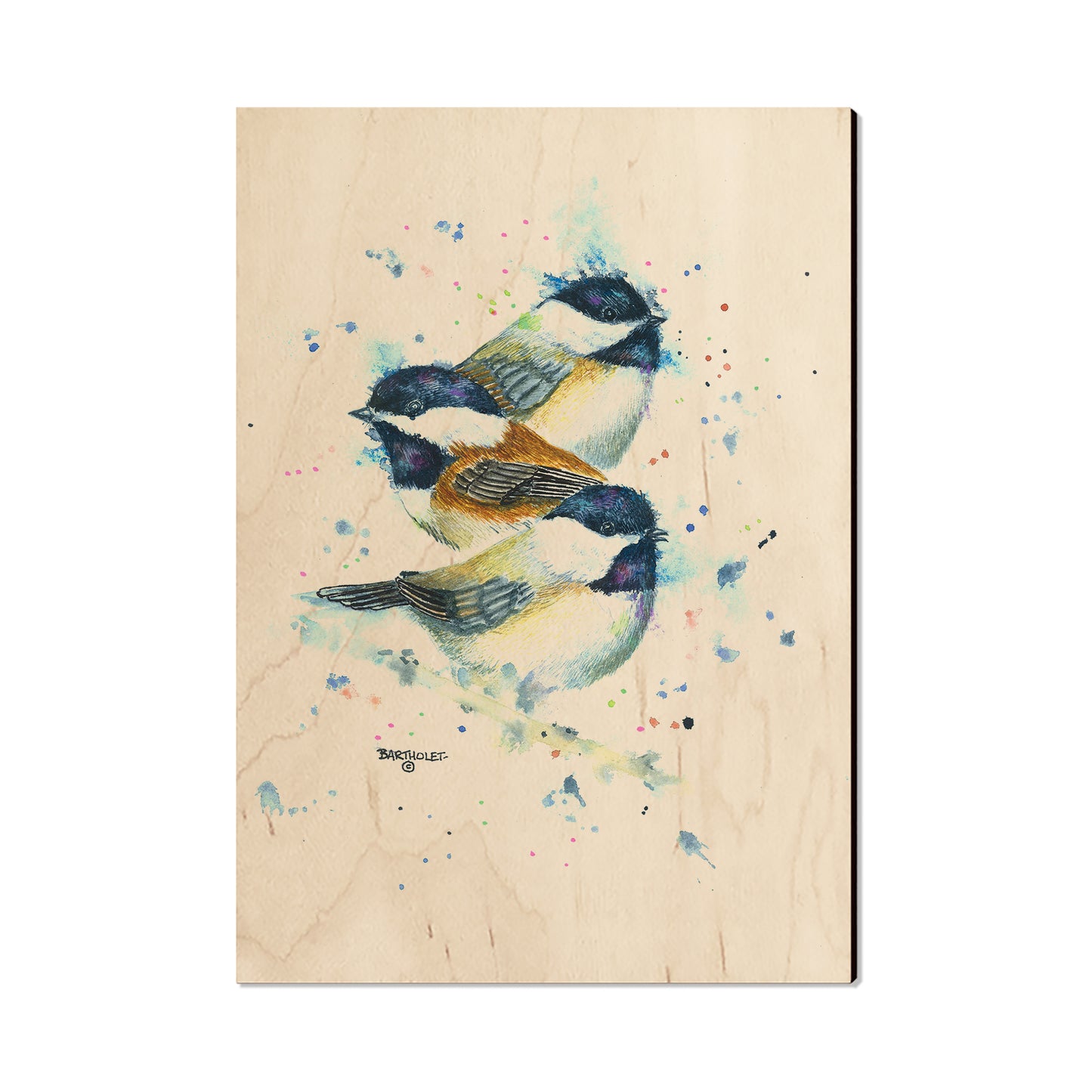 Bartholet's Chickadee Trio  - Classic Edge