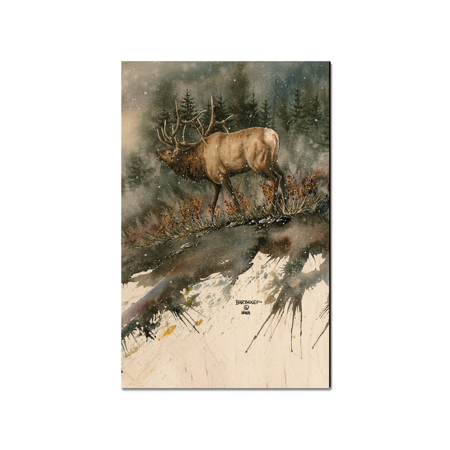 Bartholet's Day Ridge Bull  - Classic Edge