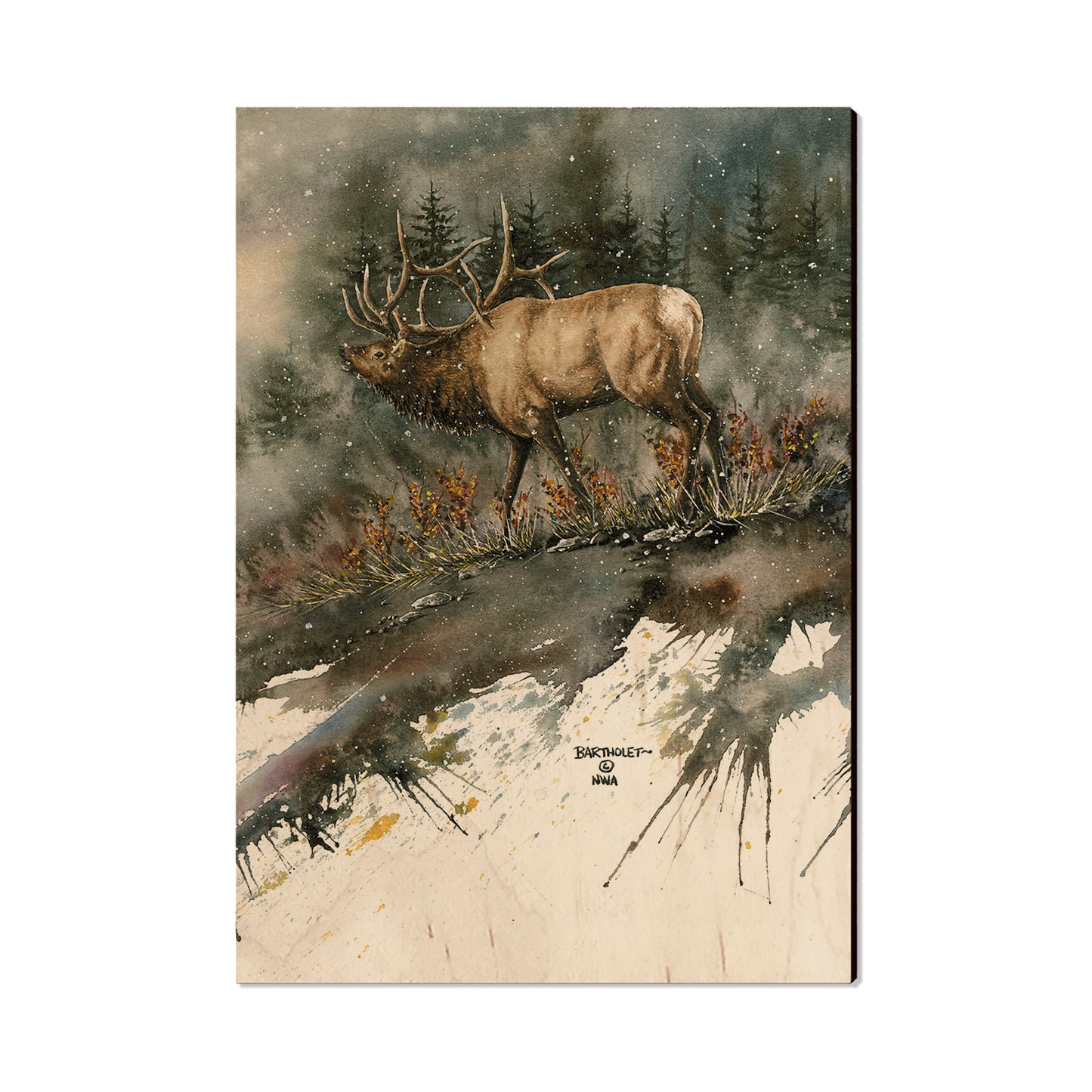 Bartholet's Day Ridge Bull  - Classic Edge