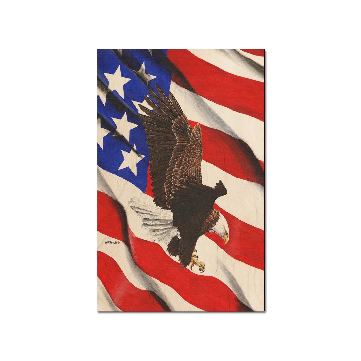 Bartholet's Freedom Flight  - Classic Edge