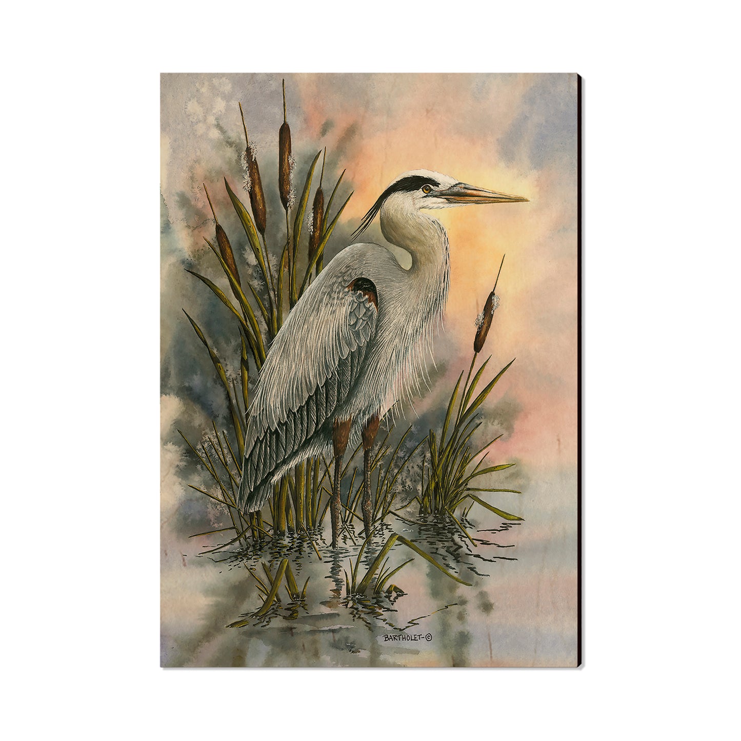 Bartholet's First Light Heron  - Classic Edge