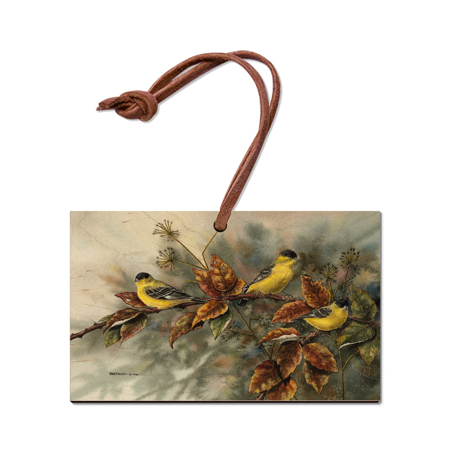 Bartholet's Gold Finches  - Classic Edge