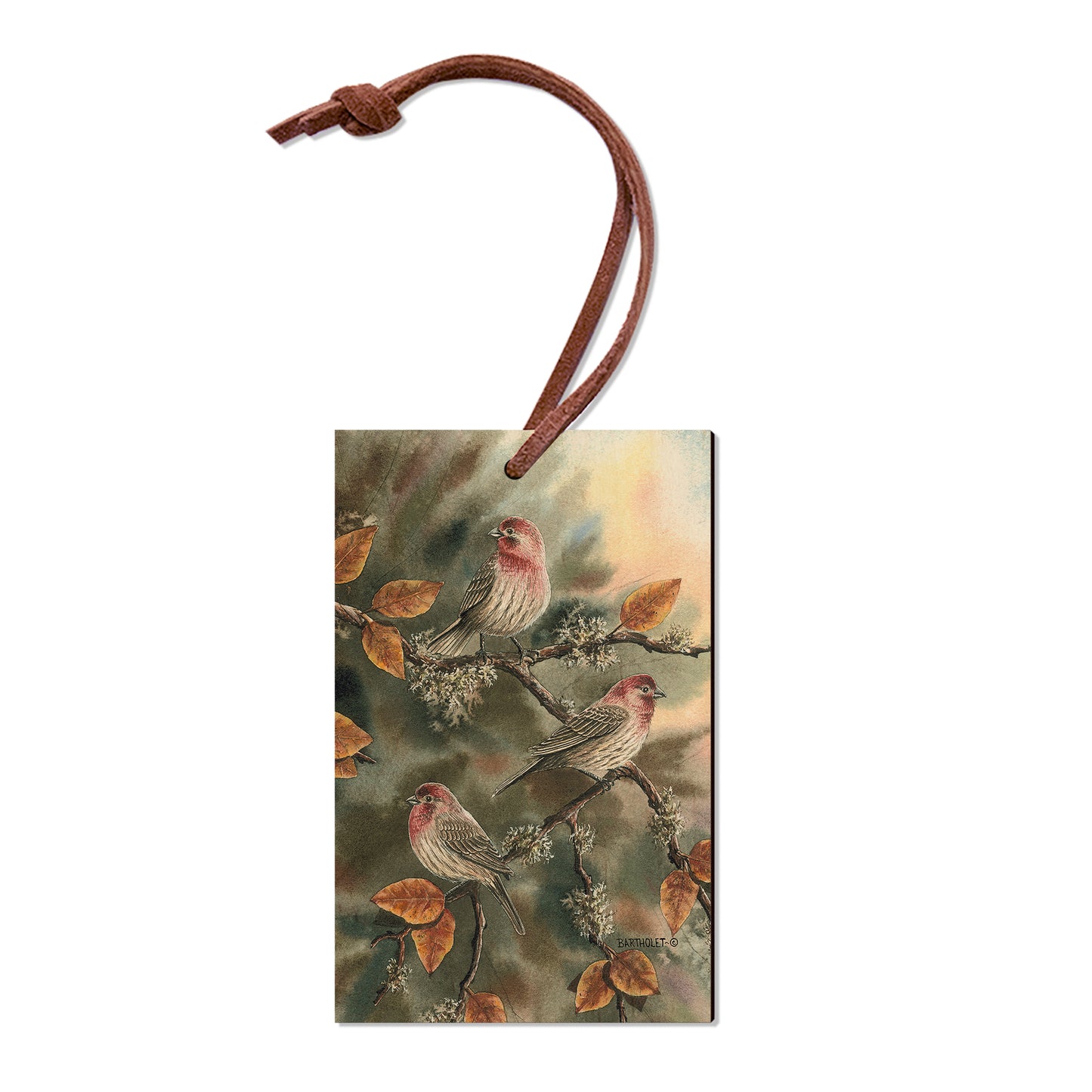 Bartholet's House Finches  - Classic Edge