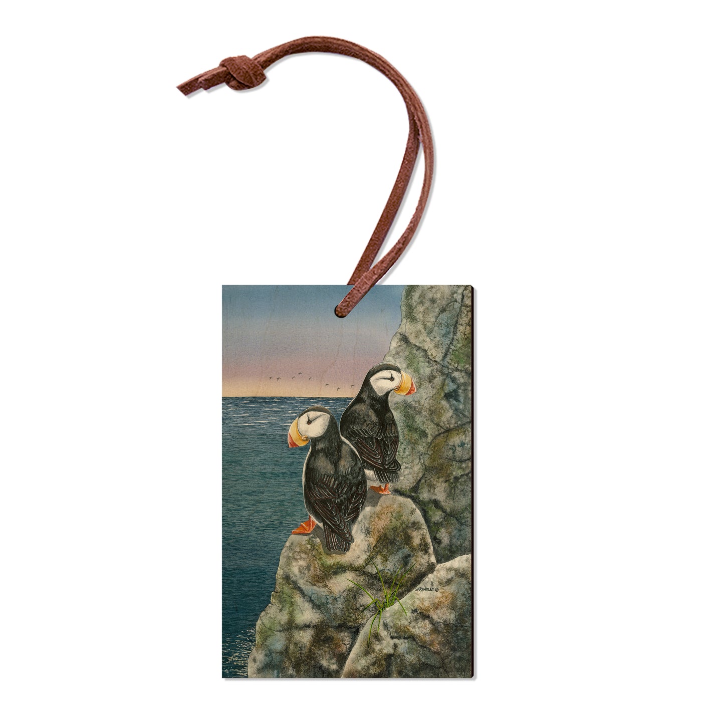 Bartholet's Horned Puffins  - Classic Edge