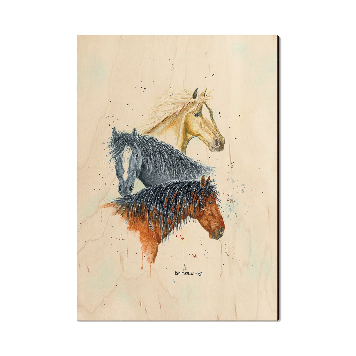 Bartholet's Horse Trio  - Classic Edge