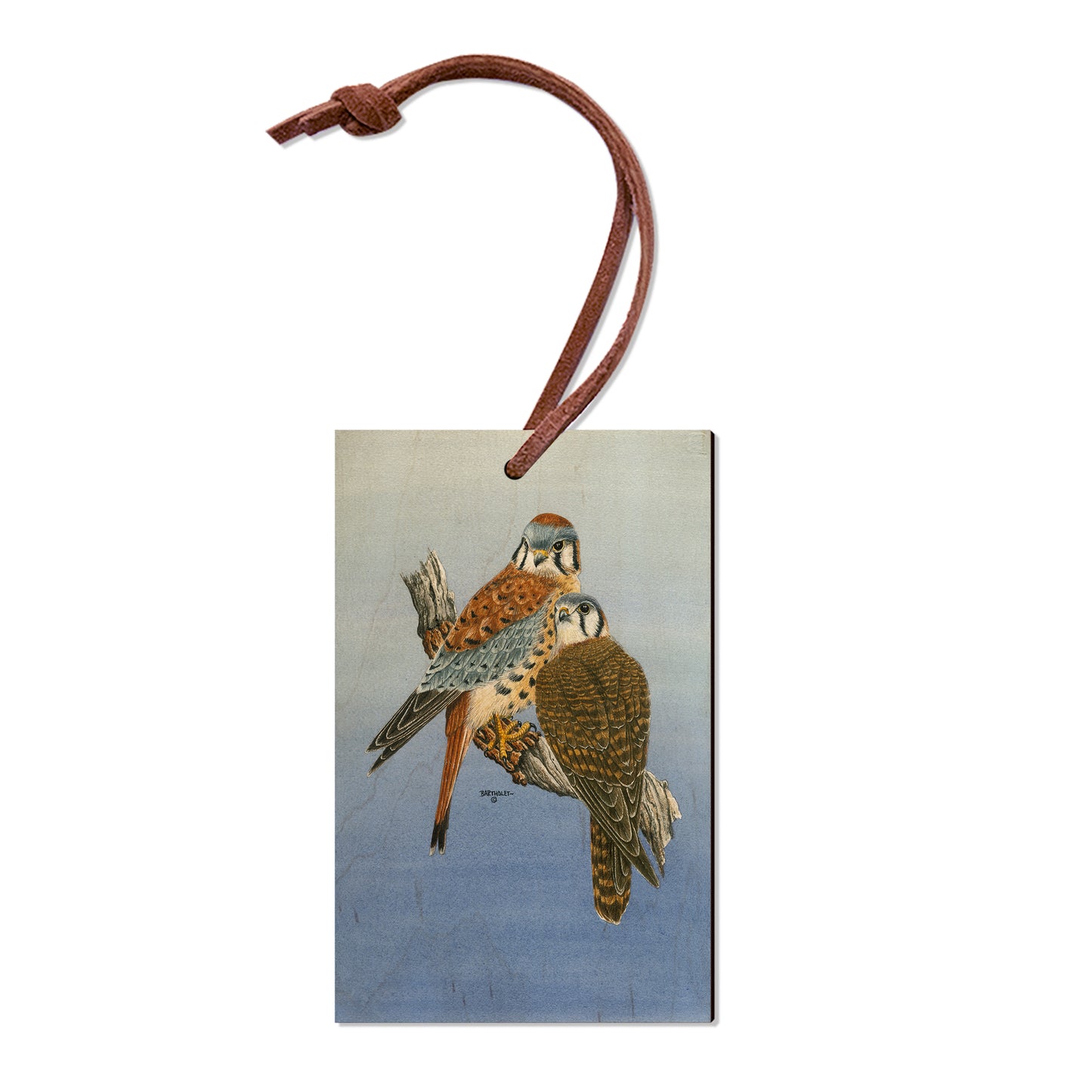 Bartholet's Kestrels  - Classic Edge