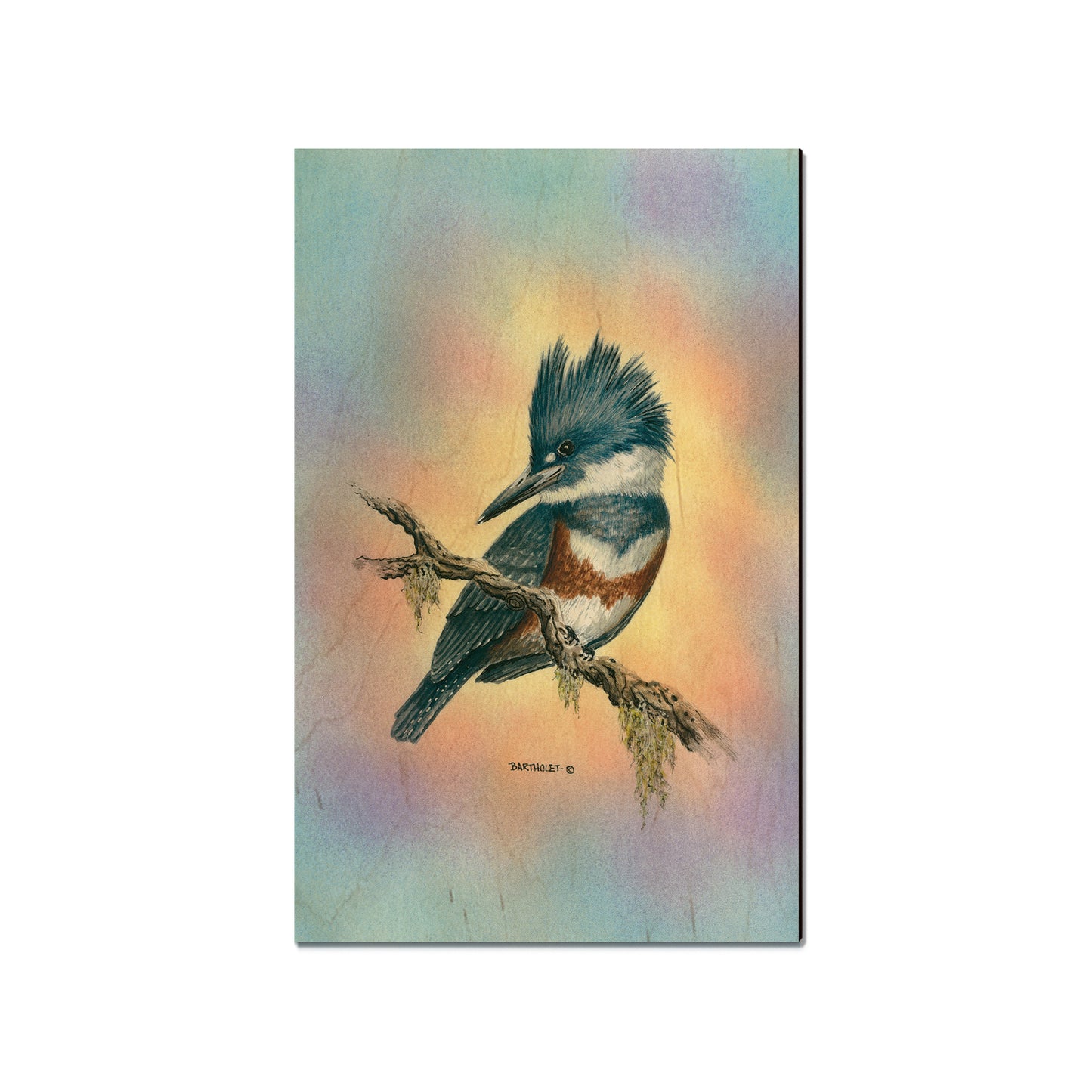 Bartholet's Little Lady - Small Art & Gift Magnet (5pk // $2.40ea)