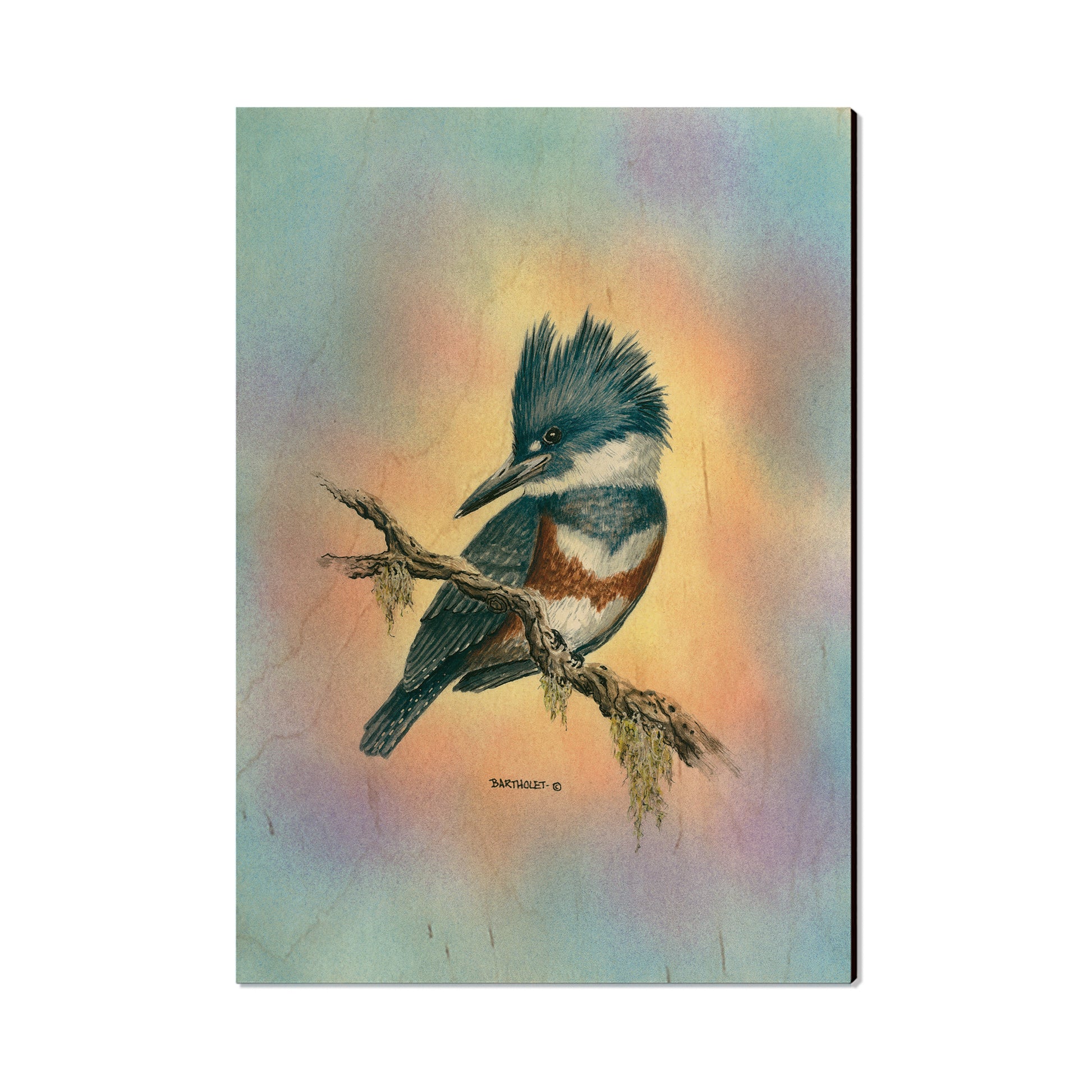 Bartholet's Little Lady - Small Art & Gift Postcard (5pk // $2.40ea)
