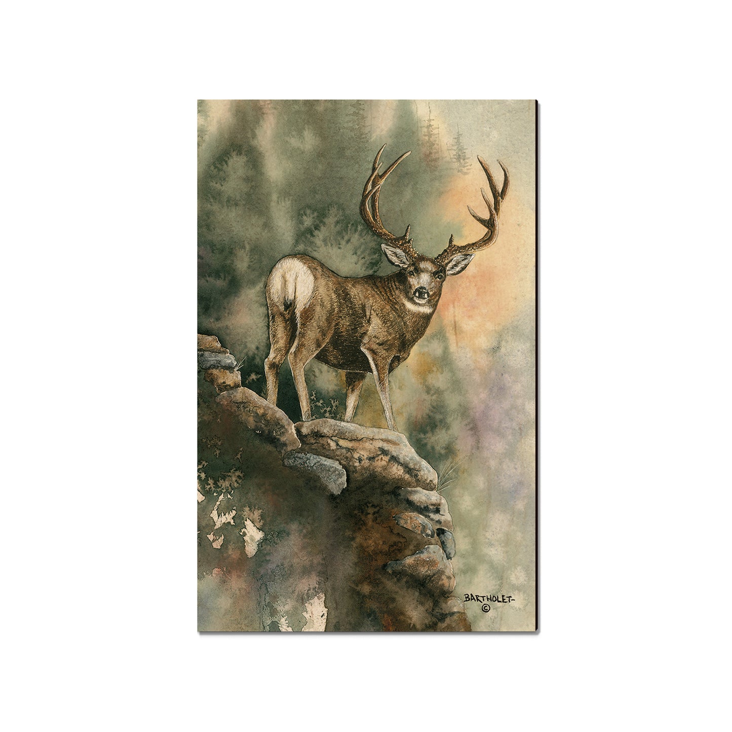 Bartholet's Last Light Muley  - Classic Edge