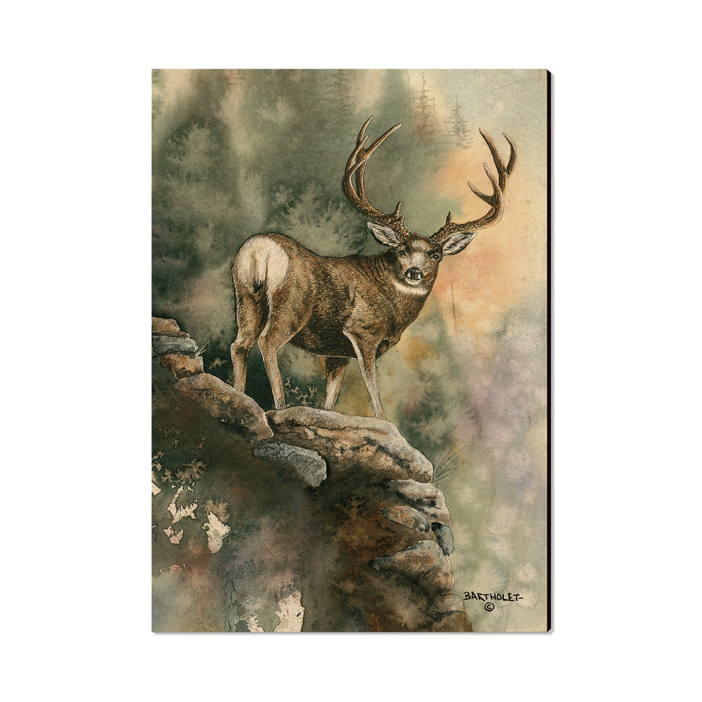 Bartholet's Last Light Muley  - Classic Edge
