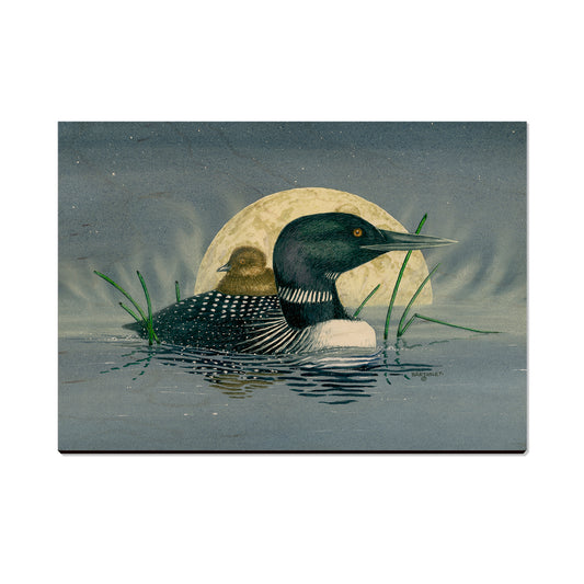 Bartholet's Loon Moon  - Classic Edge